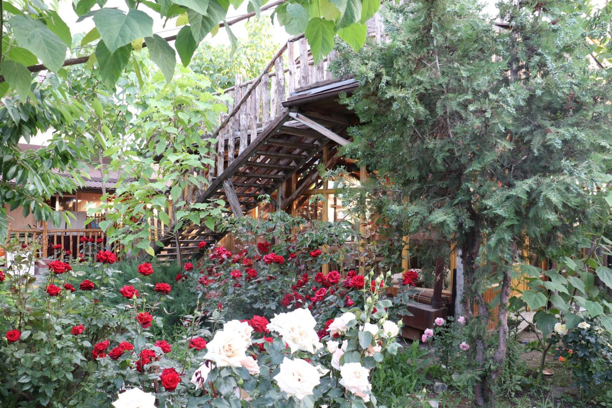 Кемпинг Happy Nomads Yurt Каракол Экстерьер фото