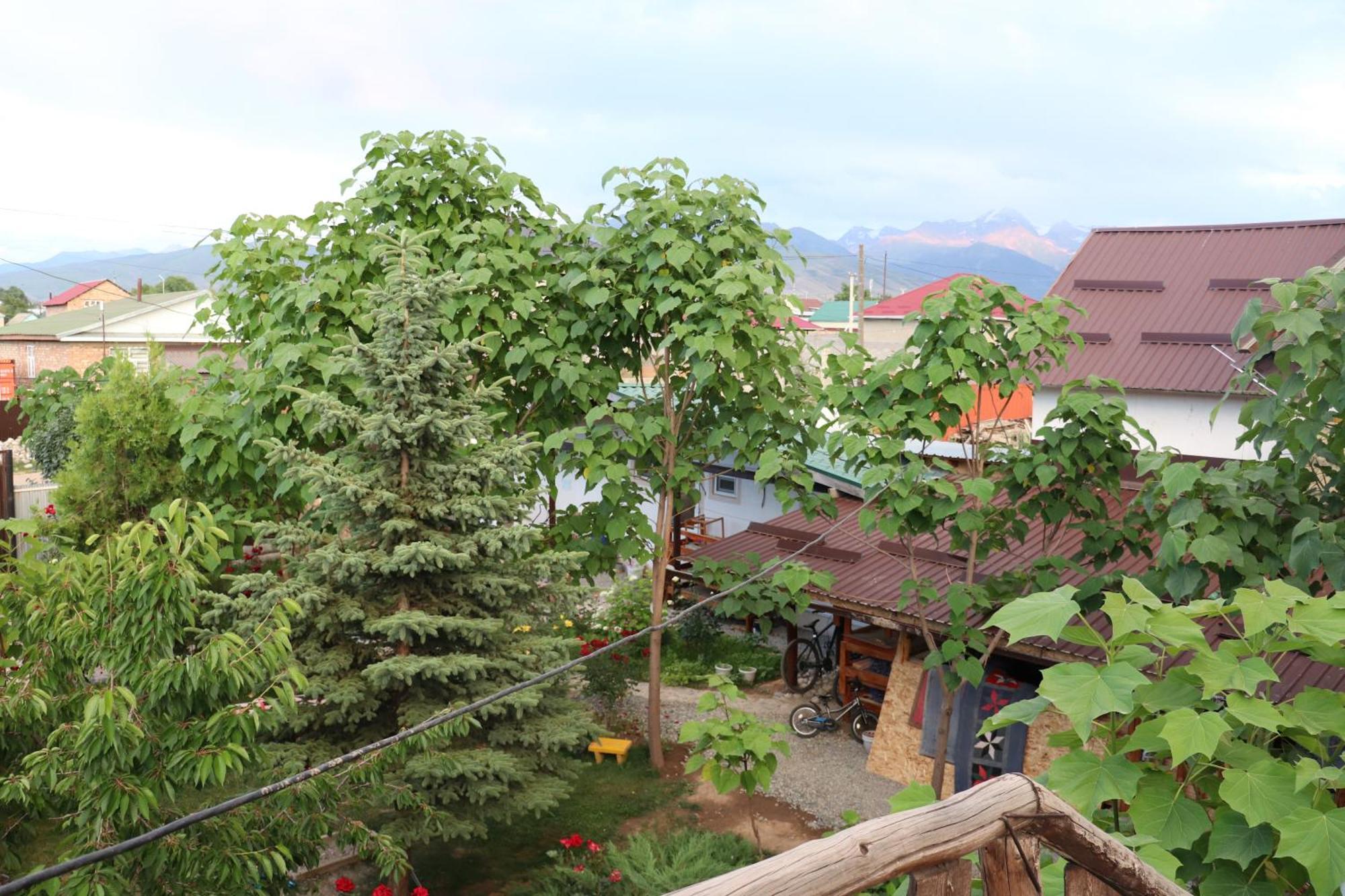 Кемпинг Happy Nomads Yurt Каракол Экстерьер фото