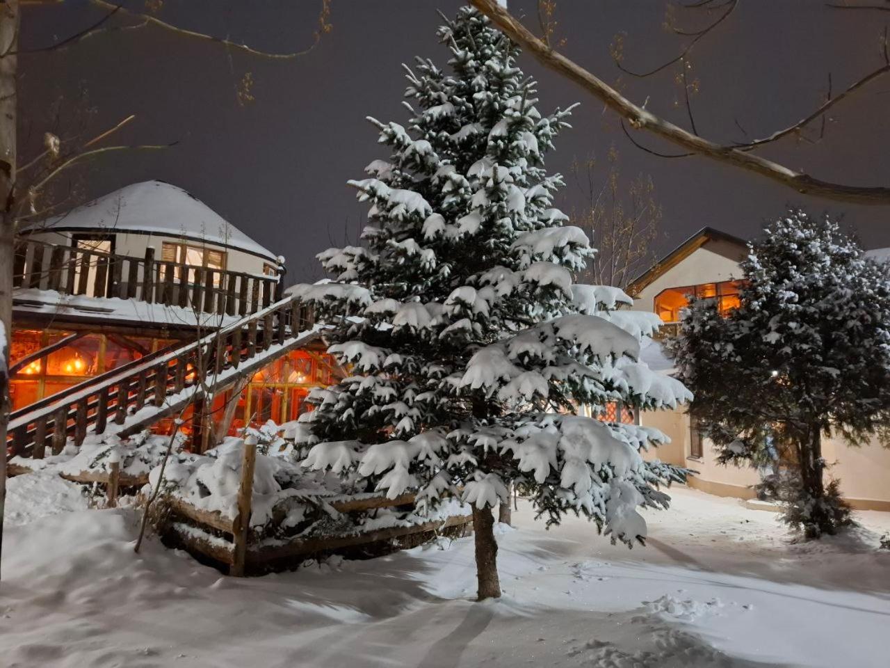 Кемпинг Happy Nomads Yurt Каракол Экстерьер фото